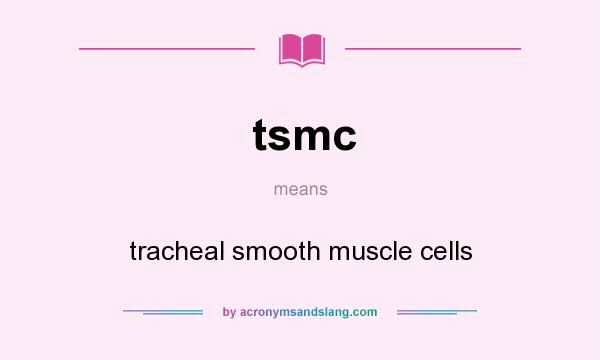 What does tsmc mean? It stands for tracheal smooth muscle cells