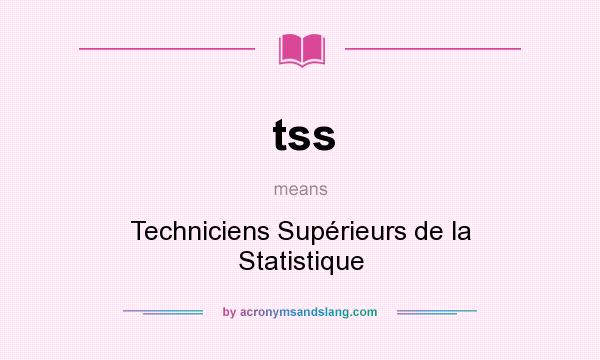 What does tss mean? It stands for Techniciens Supérieurs de la Statistique