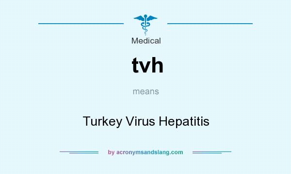 What does tvh mean? It stands for Turkey Virus Hepatitis