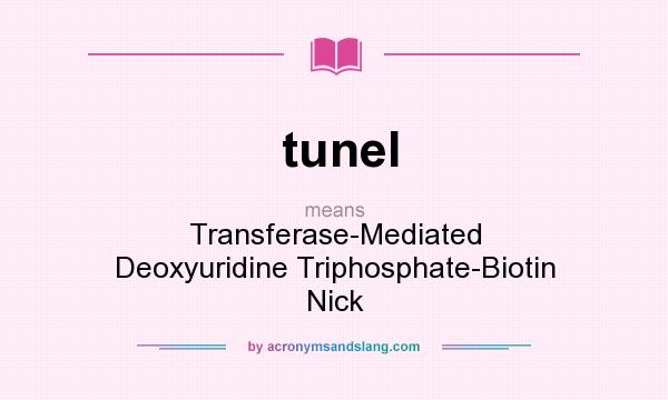 What does tunel mean? It stands for Transferase-Mediated Deoxyuridine Triphosphate-Biotin Nick