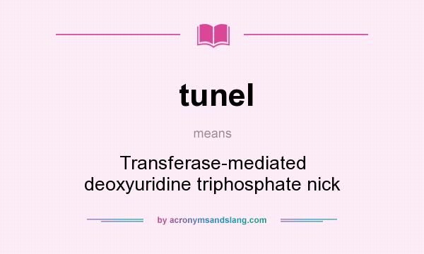 What does tunel mean? It stands for Transferase-mediated deoxyuridine triphosphate nick
