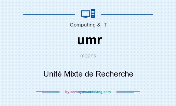 What does umr mean? It stands for Unité Mixte de Recherche