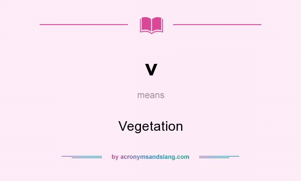 What does v mean? It stands for Vegetation