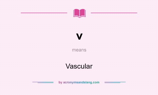 What does v mean? It stands for Vascular
