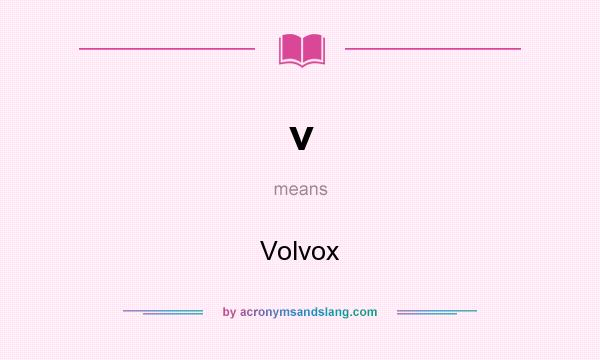 What does v mean? It stands for Volvox
