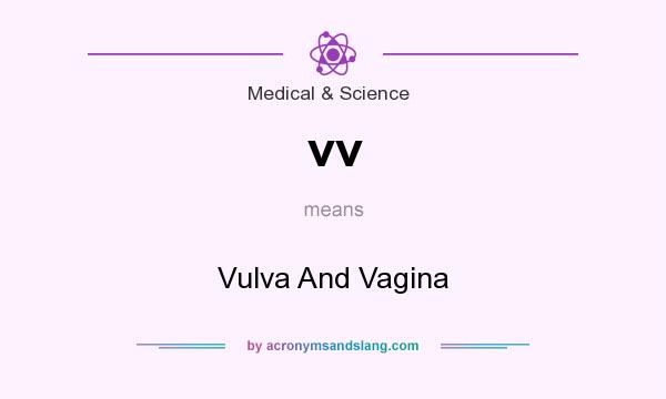 What does vv mean? It stands for Vulva And Vagina