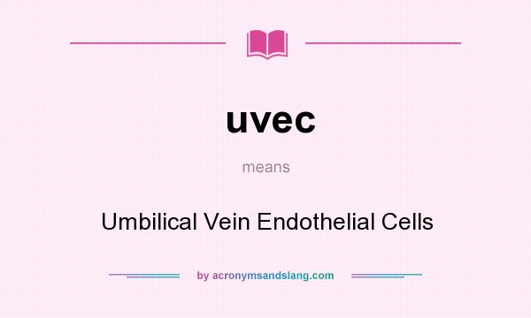 What does uvec mean? It stands for Umbilical Vein Endothelial Cells