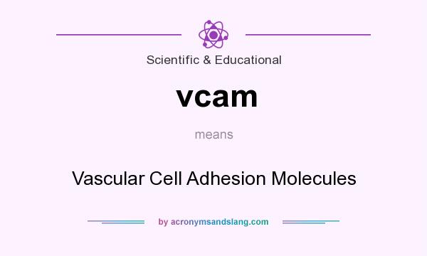 What does vcam mean? It stands for Vascular Cell Adhesion Molecules