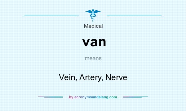 What does van mean? It stands for Vein, Artery, Nerve