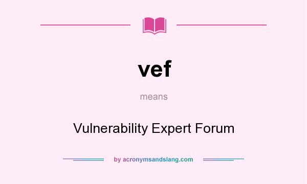What does vef mean? It stands for Vulnerability Expert Forum