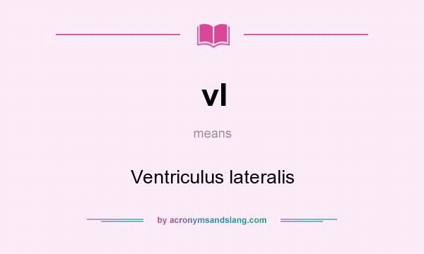 What does vl mean? It stands for Ventriculus lateralis