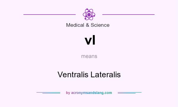 What does vl mean? It stands for Ventralis Lateralis