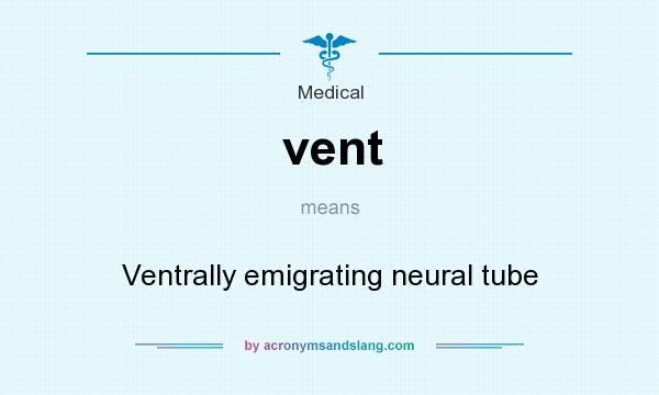 What does vent mean? It stands for Ventrally emigrating neural tube