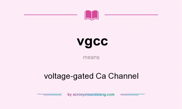 What does vgcc mean? It stands for voltage-gated Ca Channel