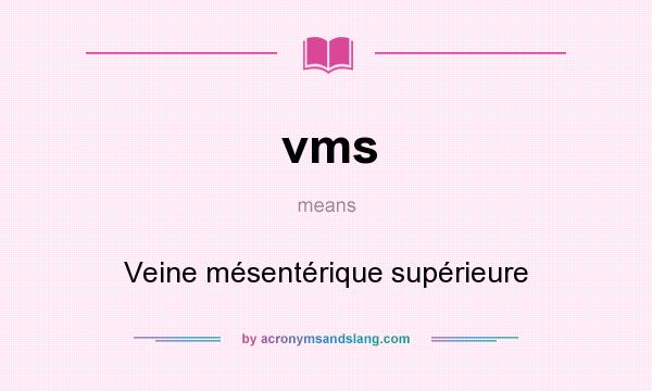 What does vms mean? It stands for Veine mésentérique supérieure