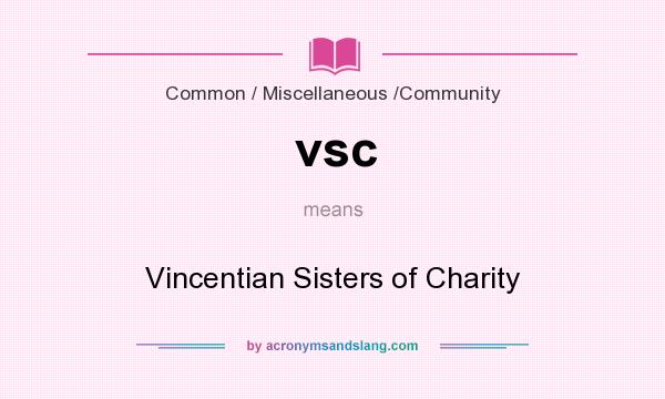 What does vsc mean? It stands for Vincentian Sisters of Charity