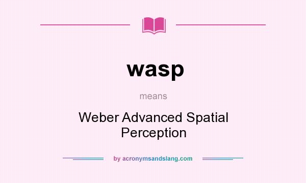 What does wasp mean? It stands for Weber Advanced Spatial Perception