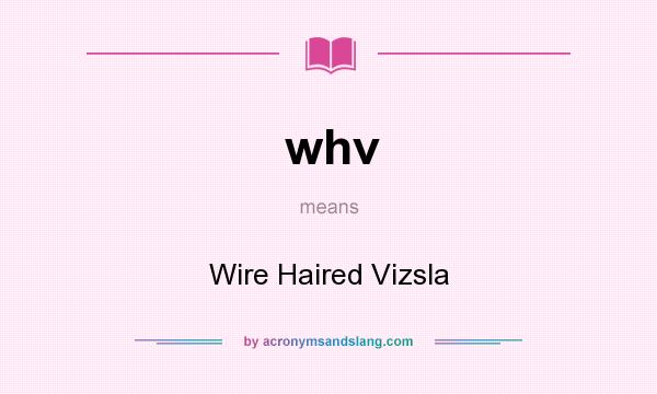 What does whv mean? It stands for Wire Haired Vizsla