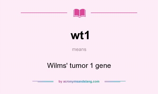 What does wt1 mean? It stands for Wilms` tumor 1 gene