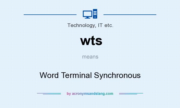 What does wts mean? It stands for Word Terminal Synchronous