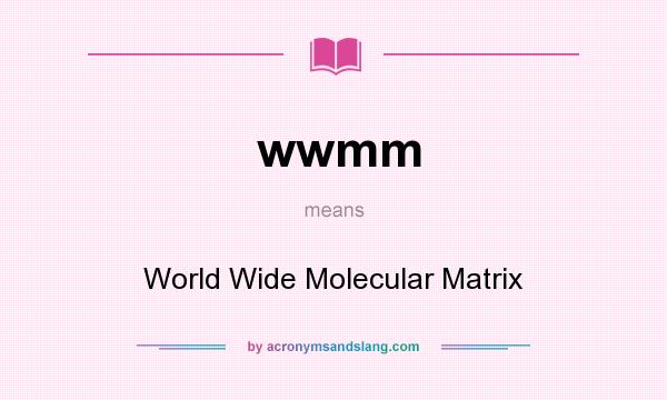 What does wwmm mean? It stands for World Wide Molecular Matrix