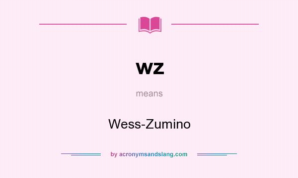 What does wz mean? It stands for Wess-Zumino