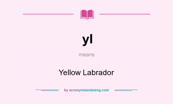 What does yl mean? It stands for Yellow Labrador
