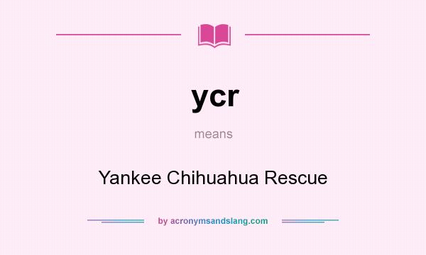 What does ycr mean? It stands for Yankee Chihuahua Rescue