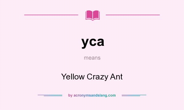 What does yca mean? It stands for Yellow Crazy Ant
