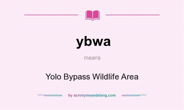 What does ybwa mean? It stands for Yolo Bypass Wildlife Area