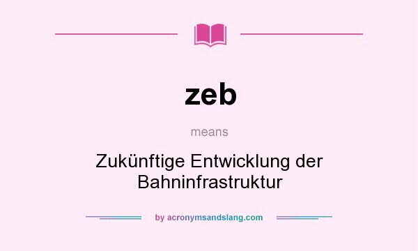 What does zeb mean? It stands for Zukünftige Entwicklung der Bahninfrastruktur