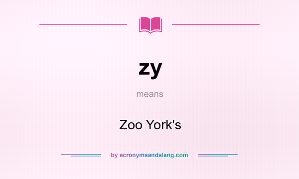 What does zy mean? It stands for Zoo York`s