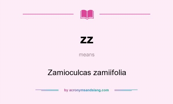 What does zz mean? It stands for Zamioculcas zamiifolia