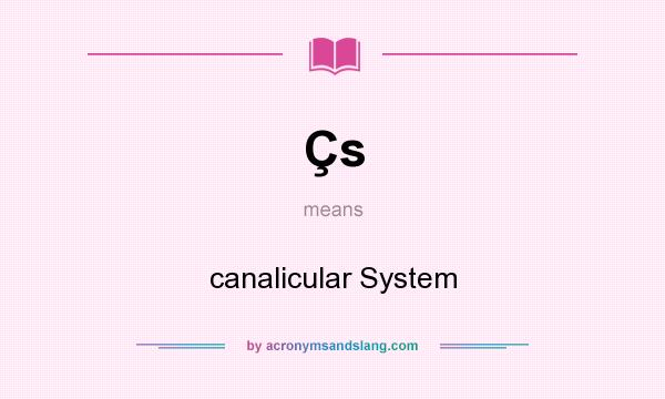 What does Çs mean? It stands for canalicular System