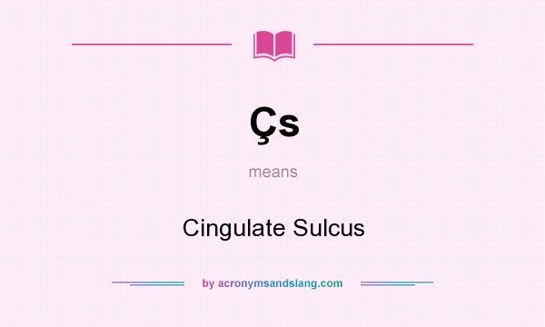 What does Çs mean? It stands for Cingulate Sulcus