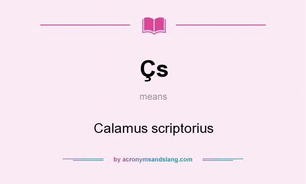 What does Çs mean? It stands for Calamus scriptorius
