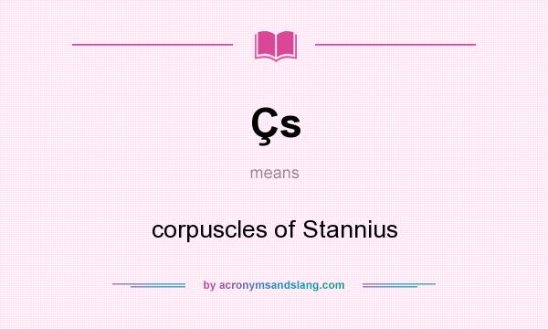 What does Çs mean? It stands for corpuscles of Stannius