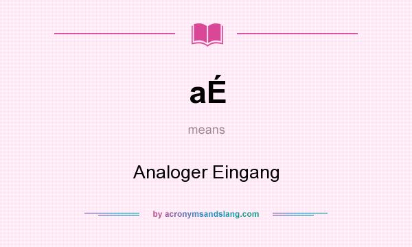 What does aÉ mean? It stands for Analoger Eingang