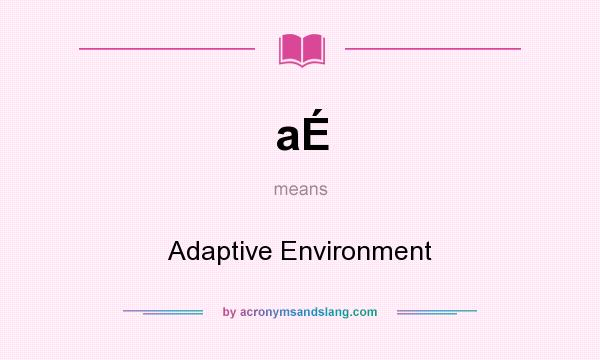 What does aÉ mean? It stands for Adaptive Environment