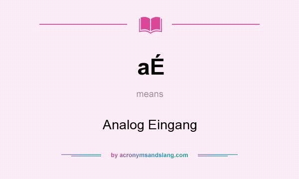 What does aÉ mean? It stands for Analog Eingang