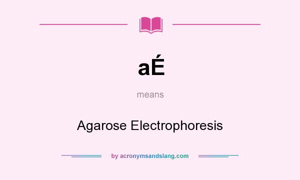 What does aÉ mean? It stands for Agarose Electrophoresis