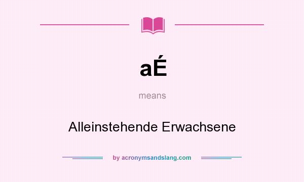 What does aÉ mean? It stands for Alleinstehende Erwachsene