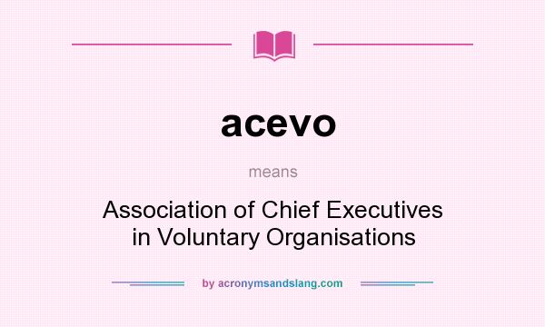 What does acevo mean? It stands for Association of Chief Executives in Voluntary Organisations