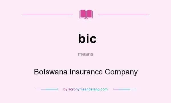 What does bic mean? It stands for Botswana Insurance Company