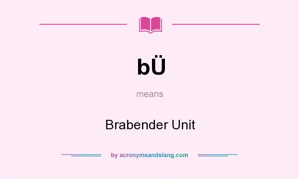 What does bÜ mean? It stands for Brabender Unit