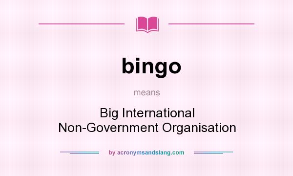 What does bingo mean? It stands for Big International Non-Government Organisation