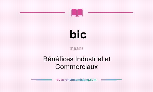 What does bic mean? It stands for Bénéfices Industriel et Commerciaux