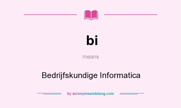 What does bi mean? It stands for Bedrijfskundige Informatica