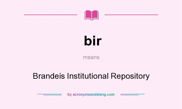 What does bir mean? It stands for Brandeis Institutional Repository