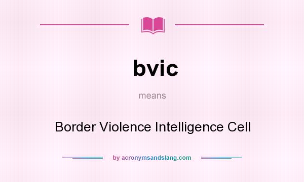 What does bvic mean? It stands for Border Violence Intelligence Cell